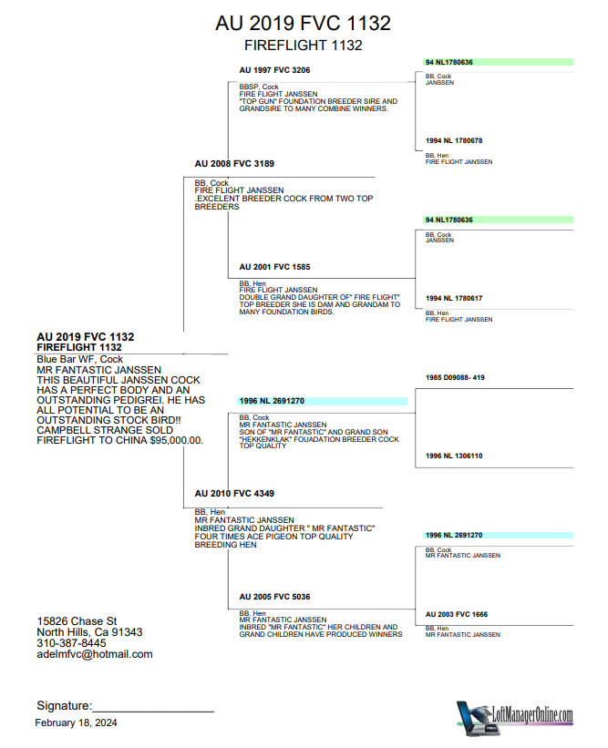 Preview Image 2