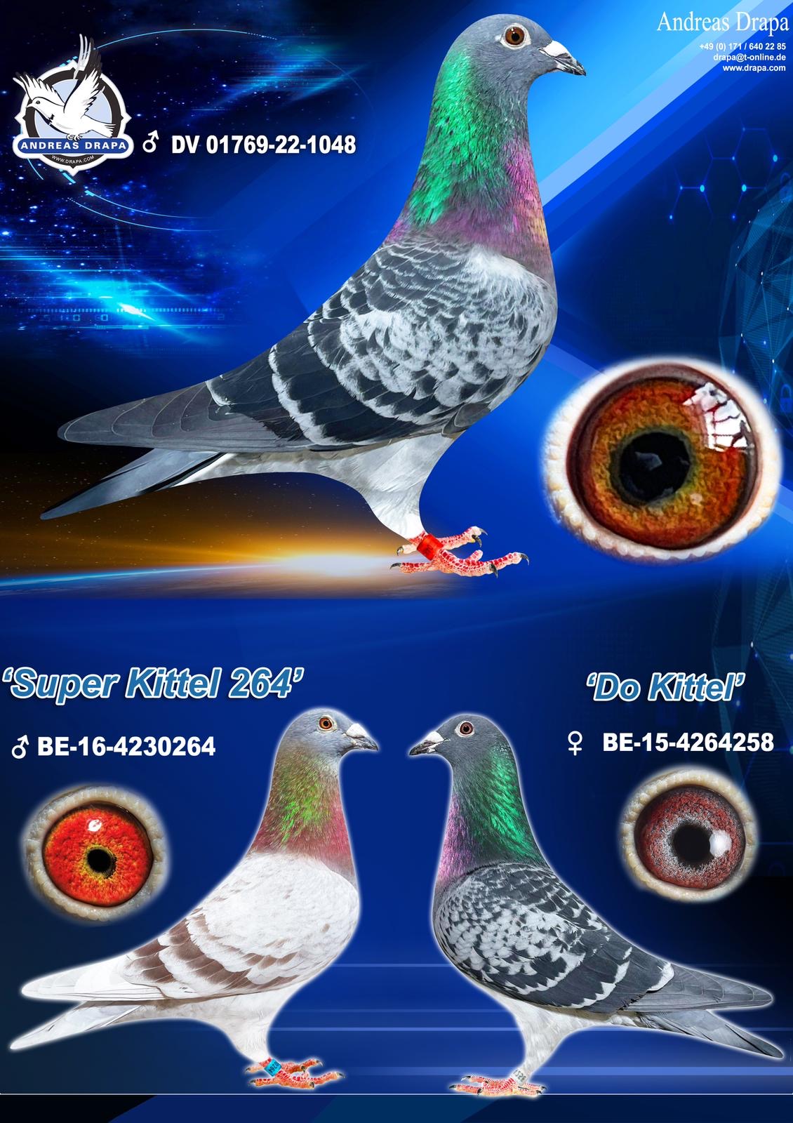 Inbred Grandson Kittel