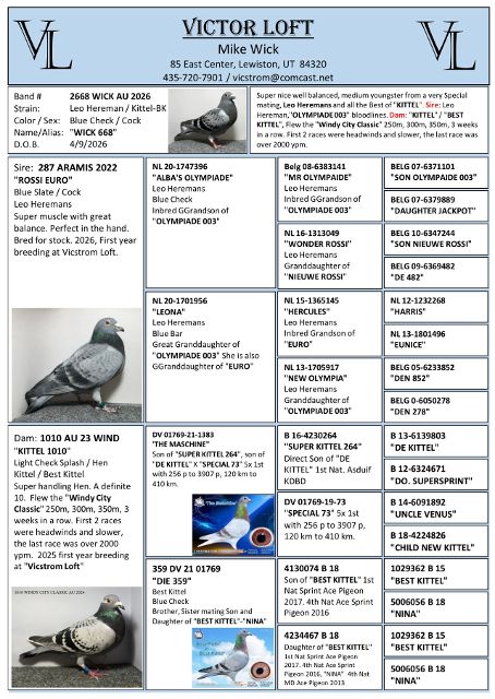Preview Image 3