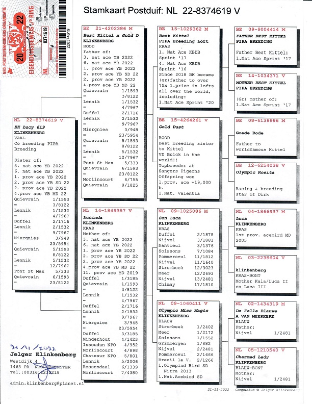 Preview Image 6