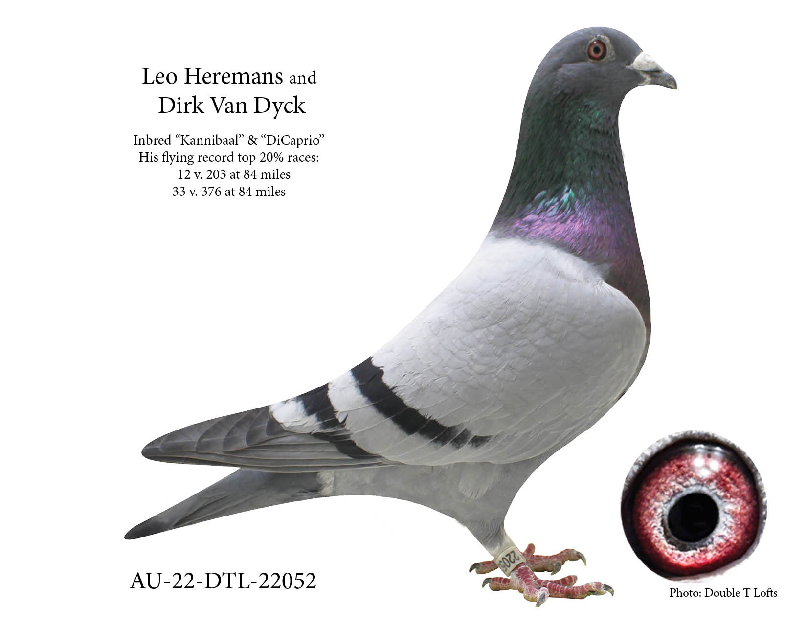 Inbred "DiCaprio" and Inbred "Kannibaal"