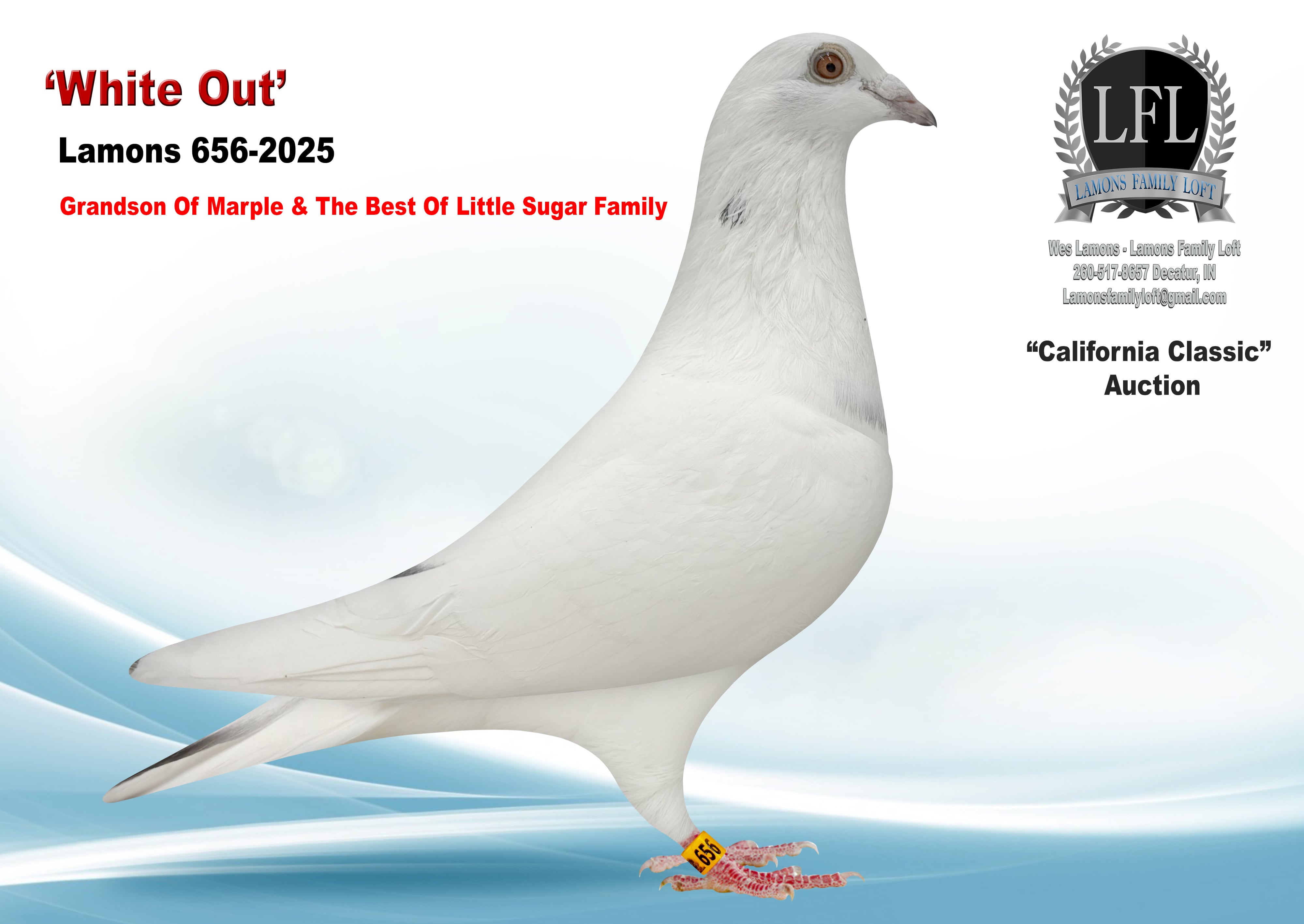 Lot 52. 2025 Lamons 656 Cock