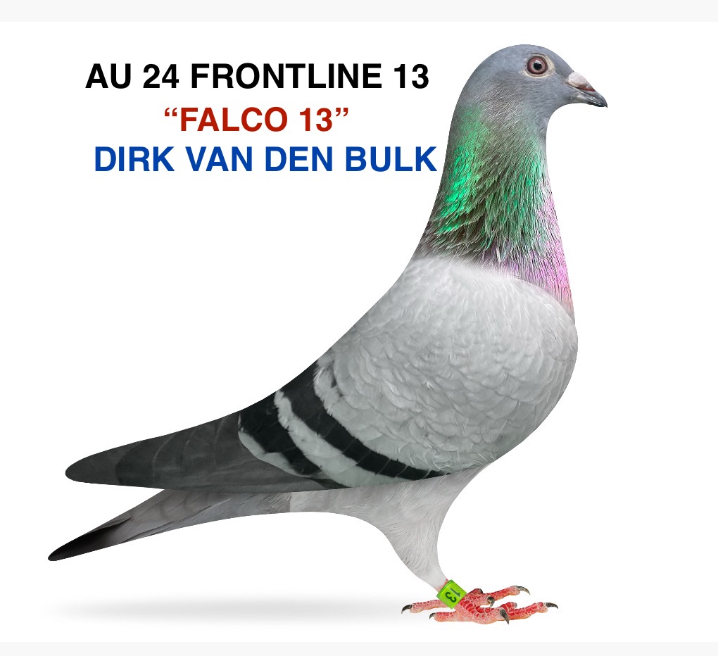 DIRK VAN DEN BULK