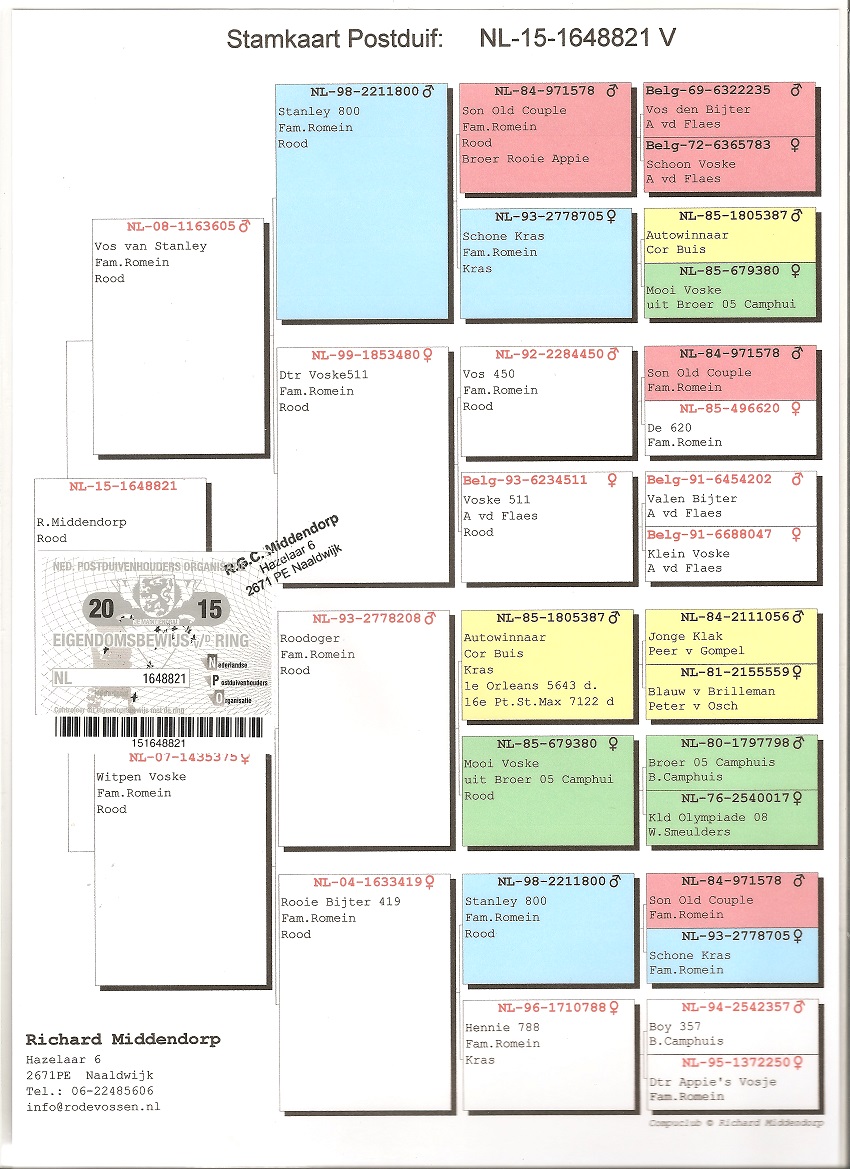 Preview Image 5