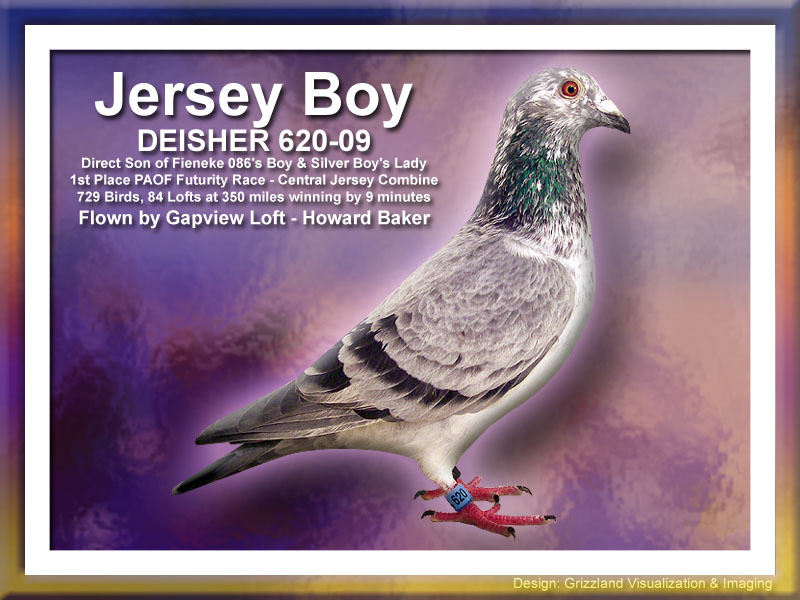 Preview Image 12