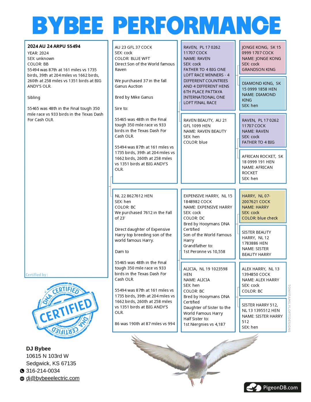 AU 55494 ARPU 2024 BB COCK