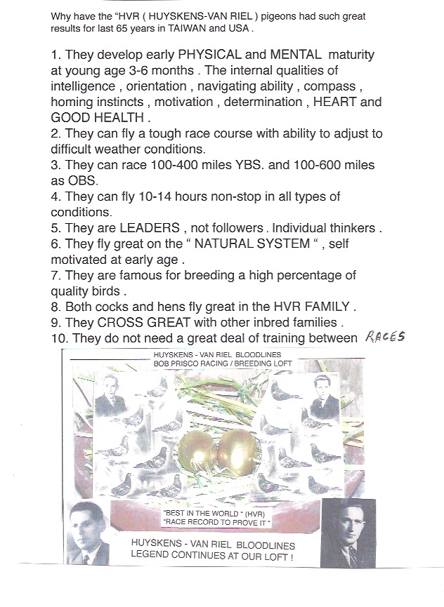 # 1814 DC HVR BLOODLINES 