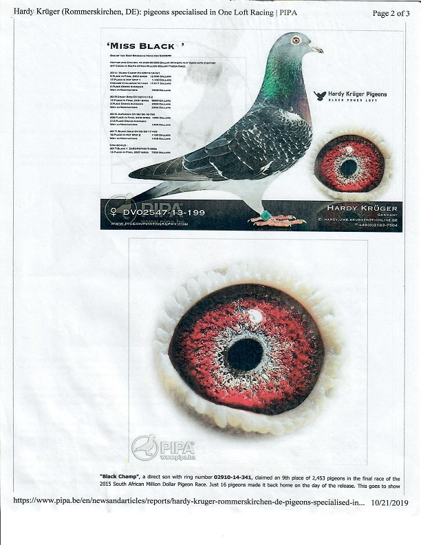 Preview Image 21