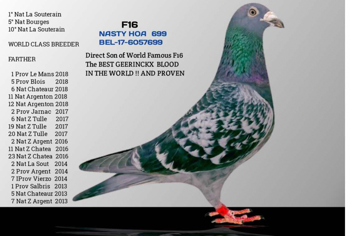 F16 Direction Son of the legend F16 