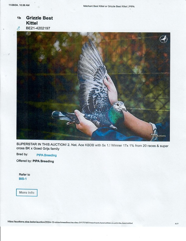 Preview Image 15