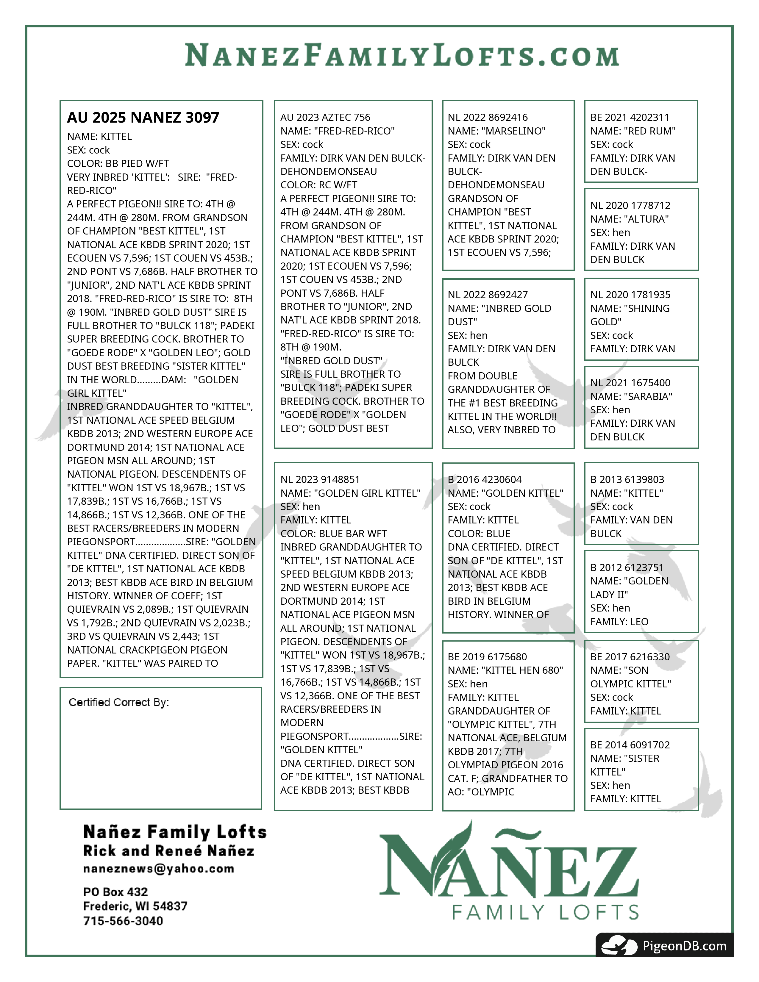 IPigeon Racing Pigeon Auction ipigeon-racing-pigeon-auction