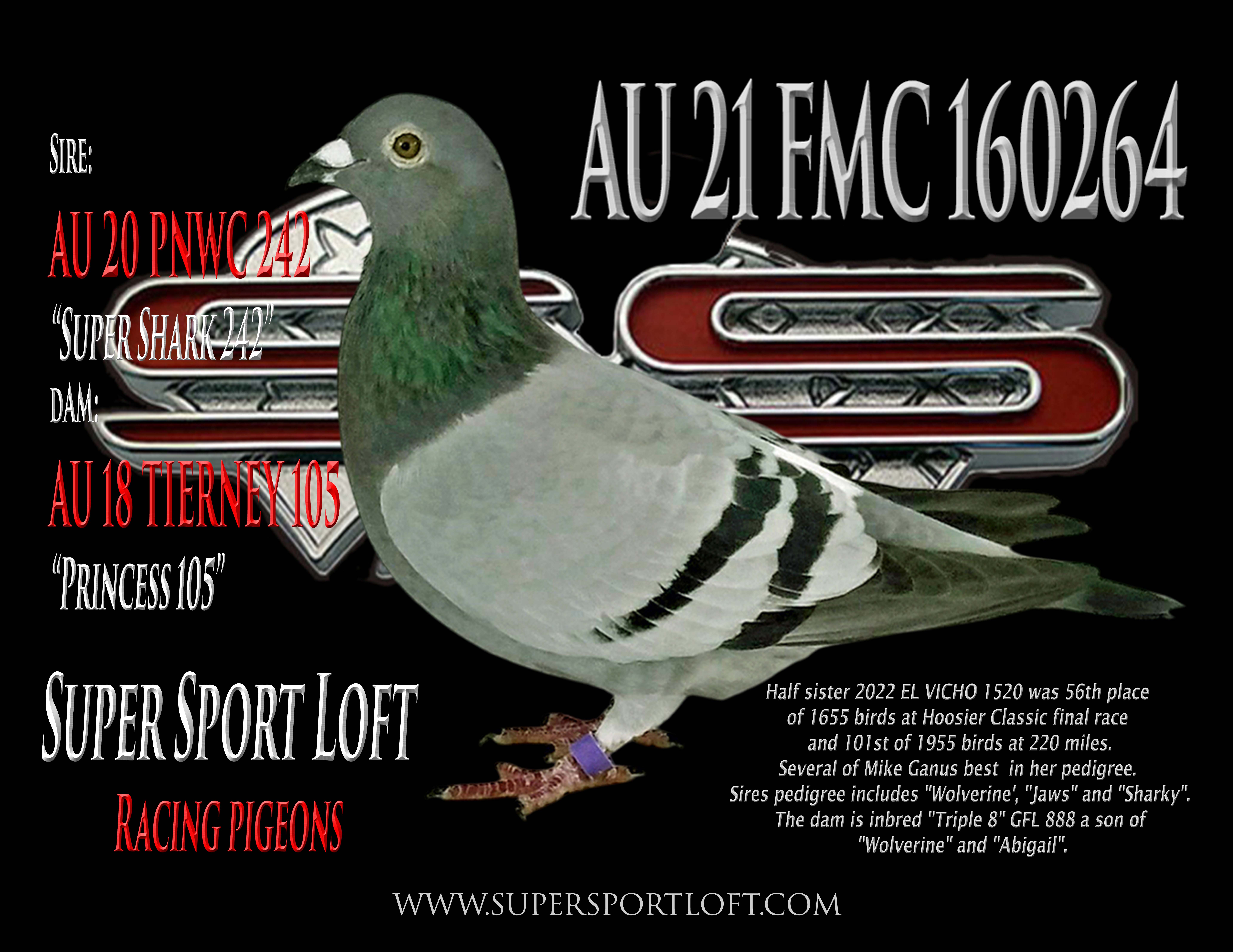 AU 21 FMC 160264 INBRED WOLVERINE HEN