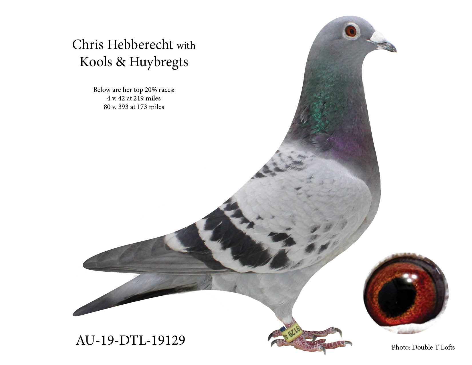 Granddaughter of Hebberecht