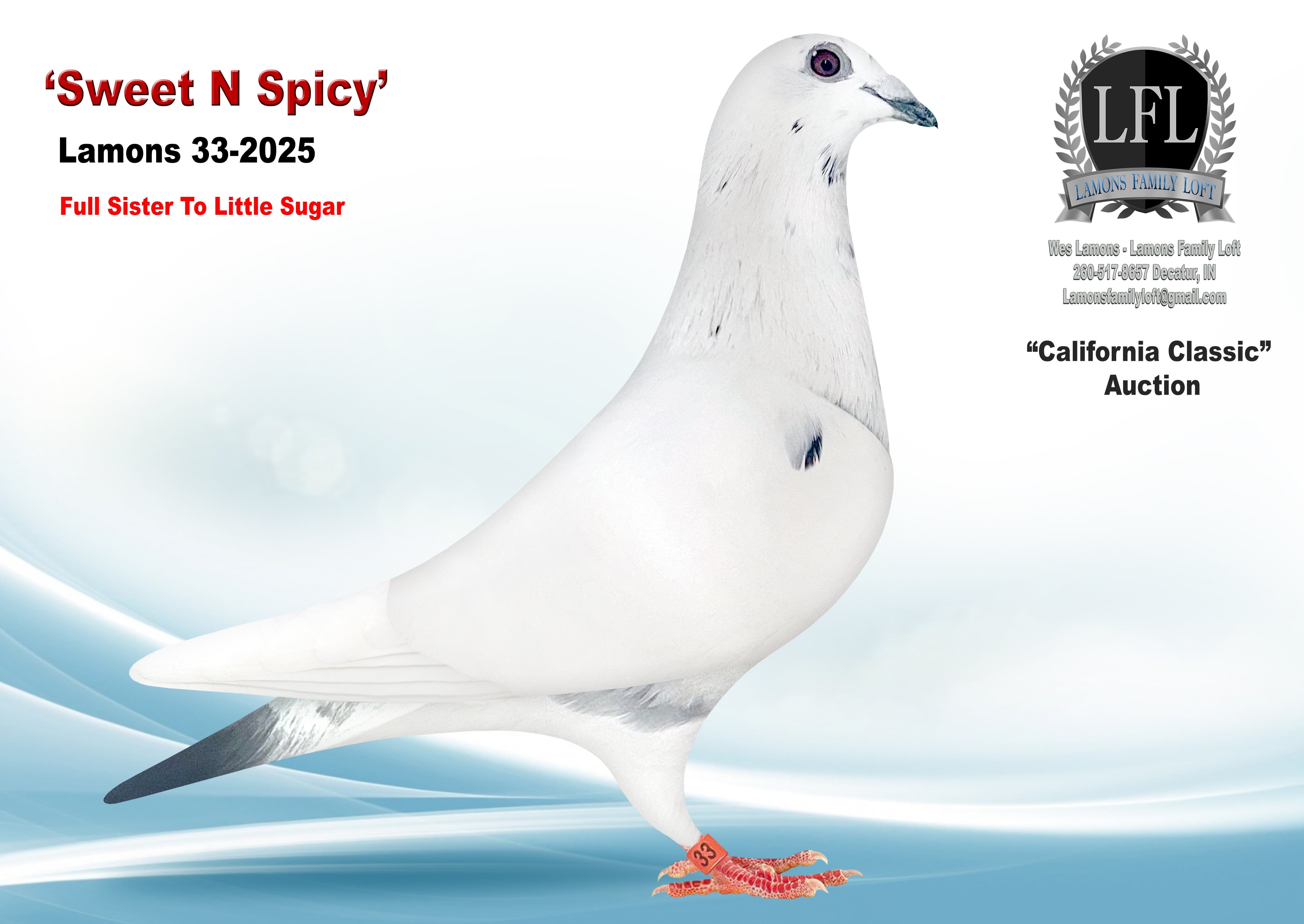 Lot 8. 2025 Lamons 33 hen 