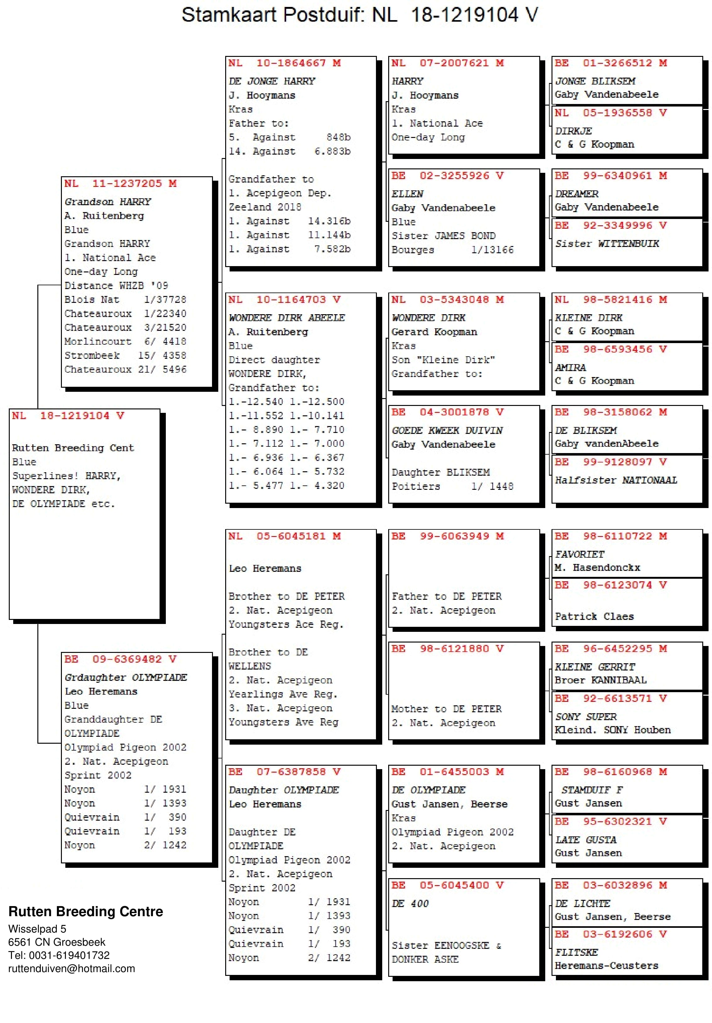 iPigeon.com - Racing Pigeon Auction, image size:2267x3256