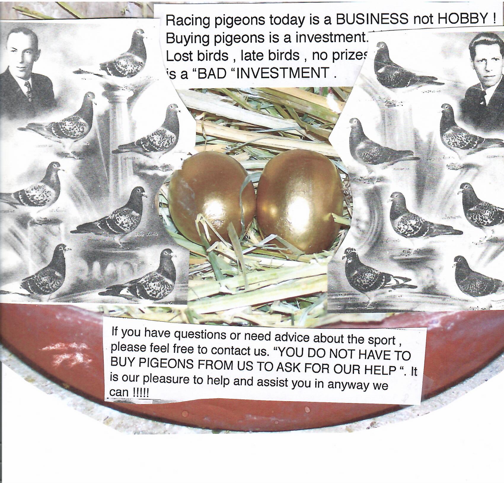 #1882 HVR BLOODLINES - EXCELLENT RESULTS FOR OVER 40 YEARS