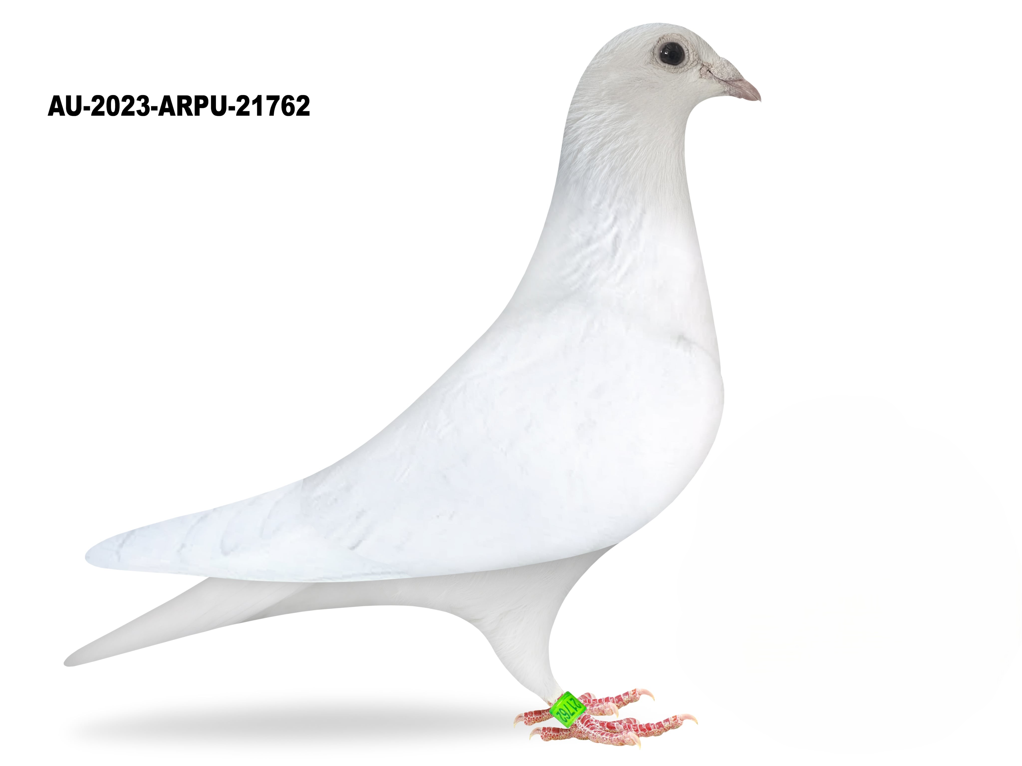 Donated by Keith LaJack for Ladies Aux