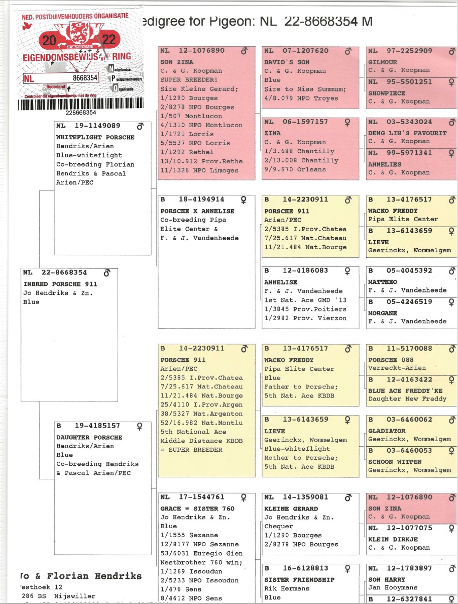 22 NL 8668354 BB Cock