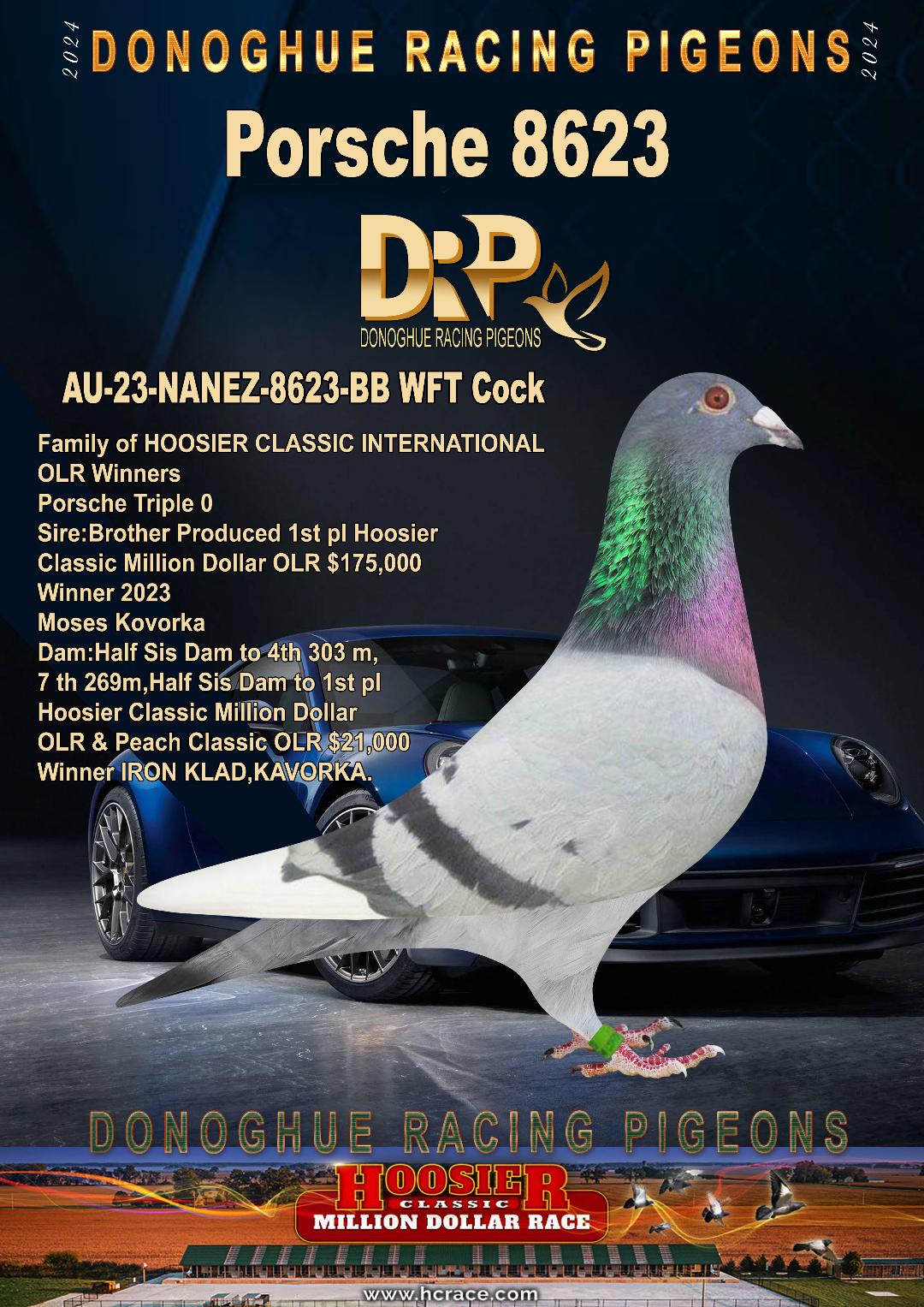 iPigeon.com - Racing Pigeon Auction