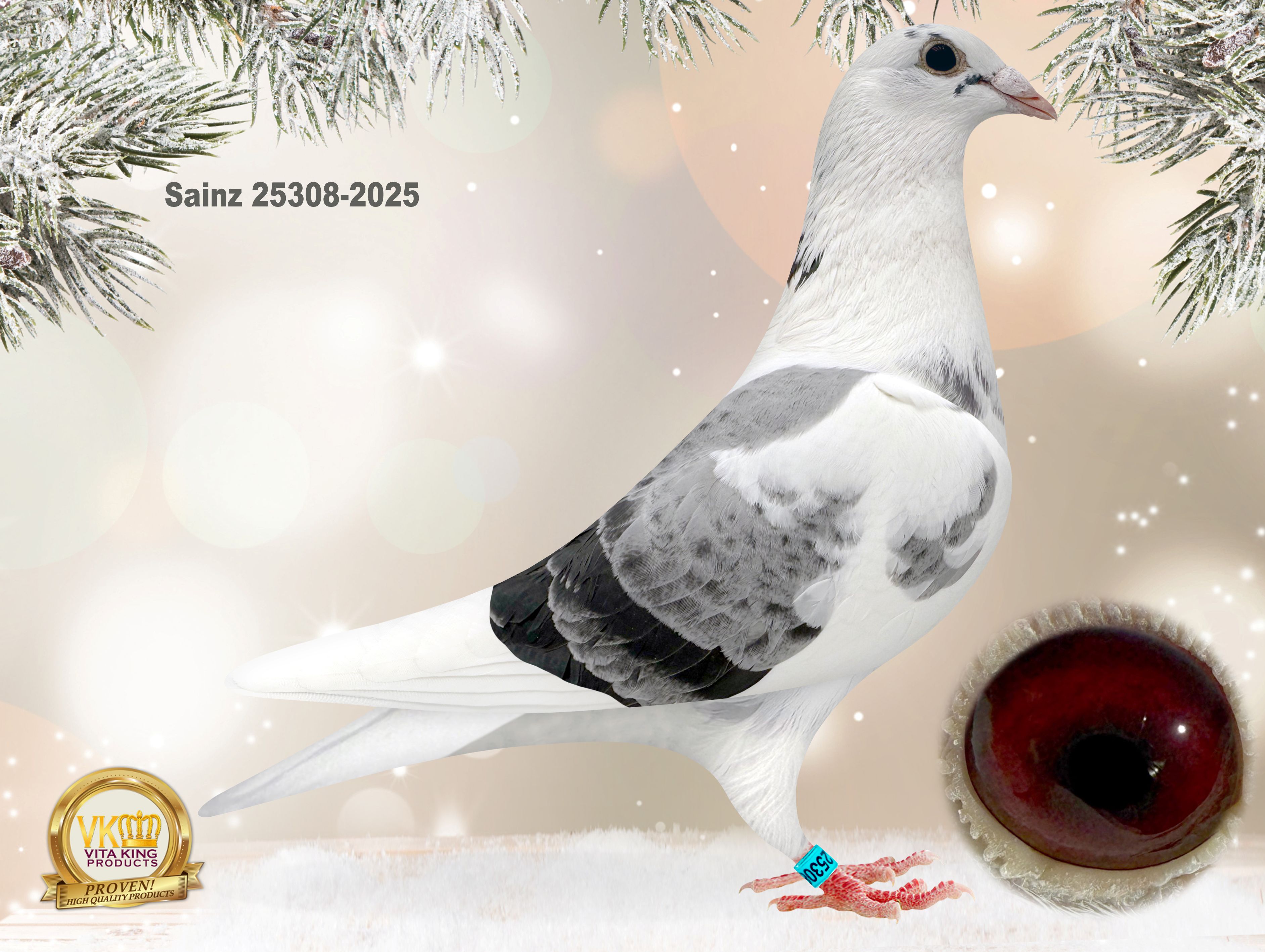 Prstige Loft Acquires Super Inbred Porsche