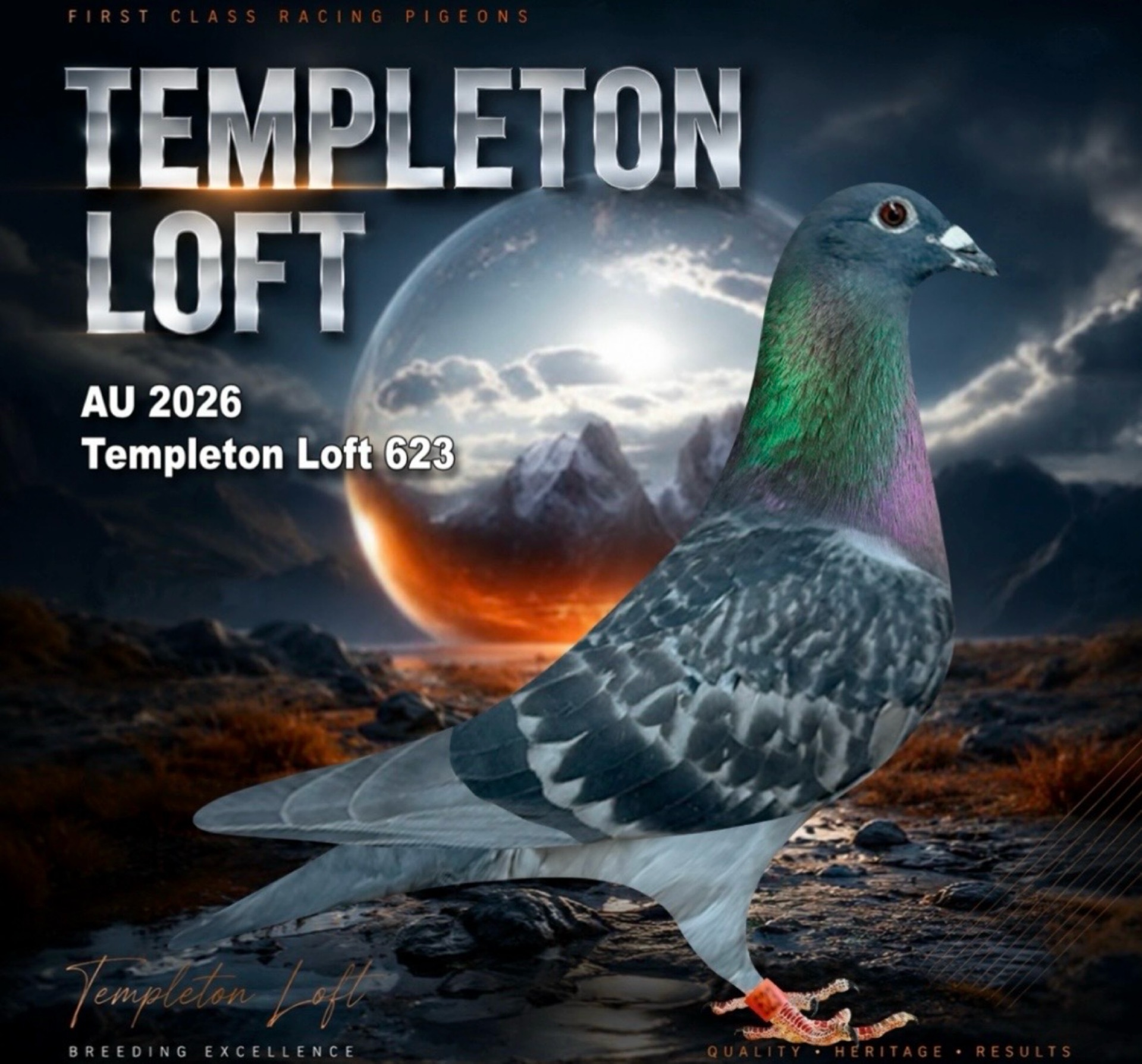 Templeton loft 2026/623 full DNA