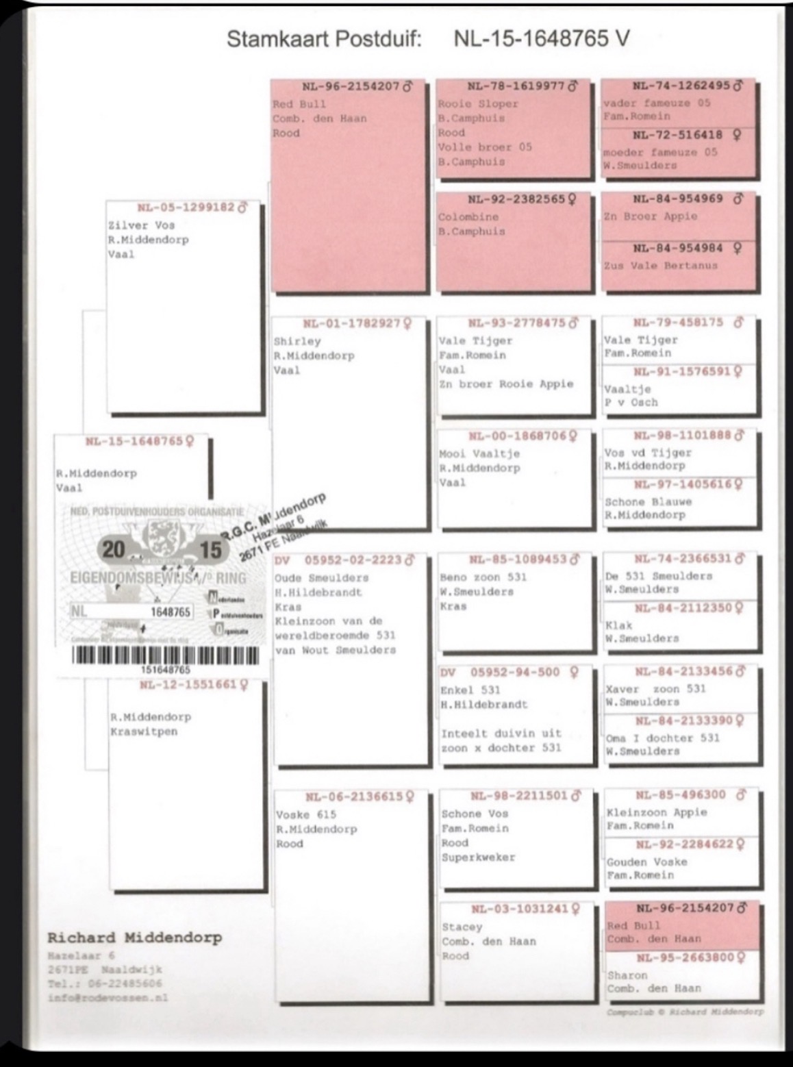 Preview Image 3