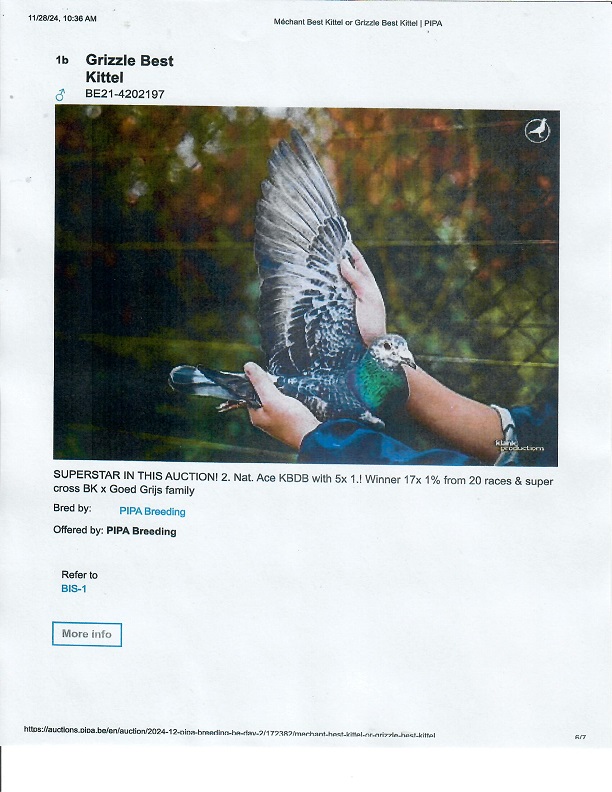 Preview Image 12