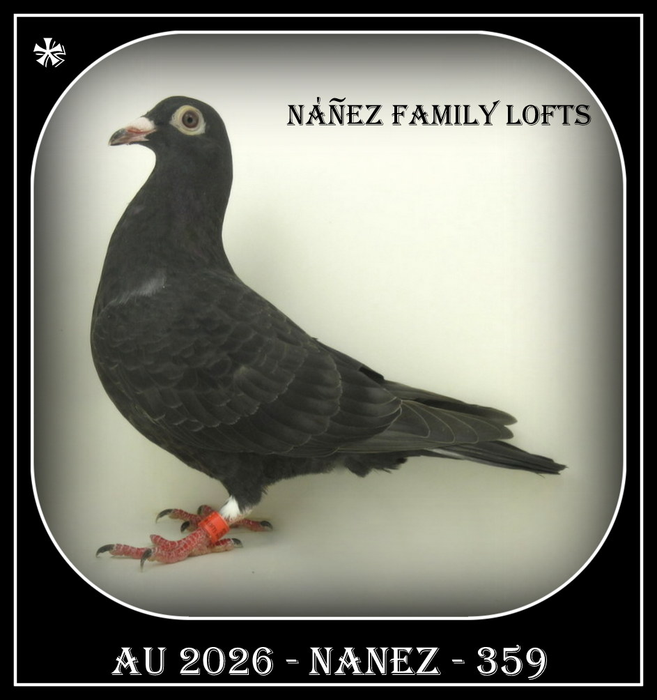 AU 2026 NANEZ 359