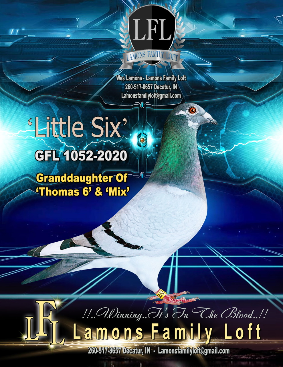 GFL 1052-2020