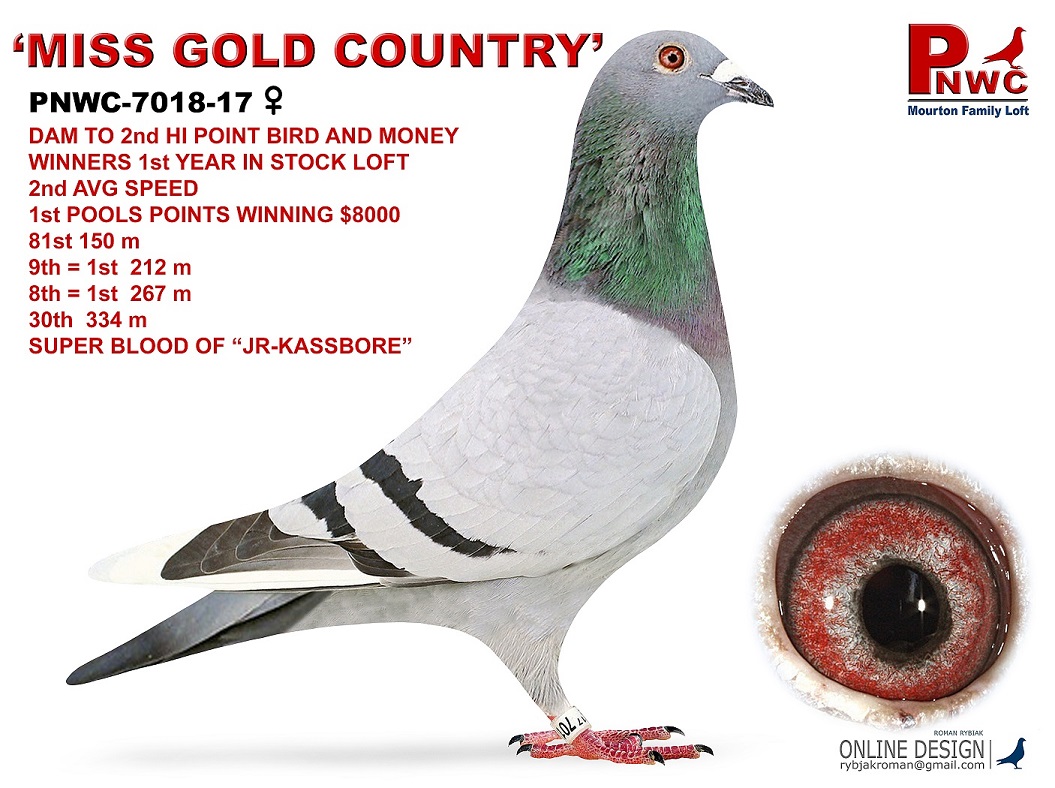 PNWC-7018-17 BBWF HEN