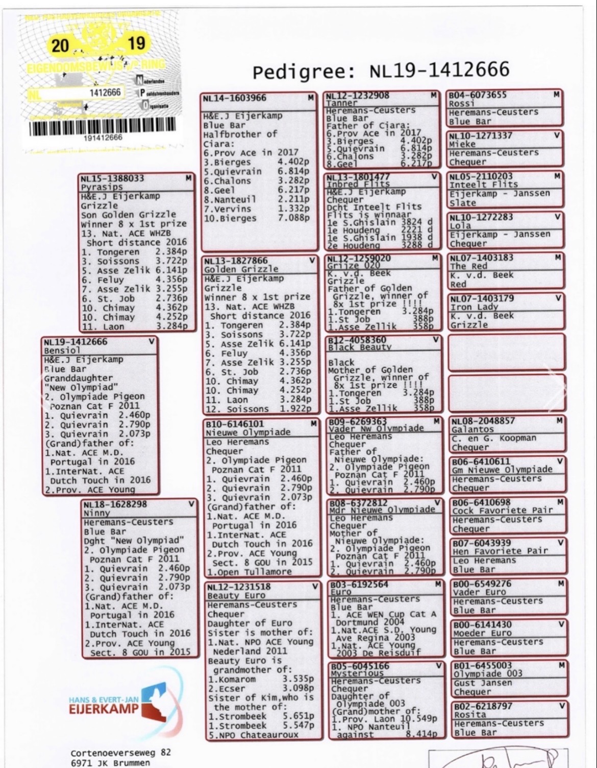 DIRK VAN DEN BULK - LEO HEREMAN 