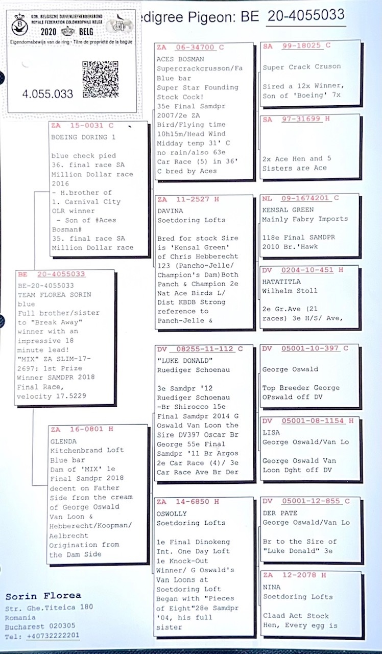 Preview Image 3