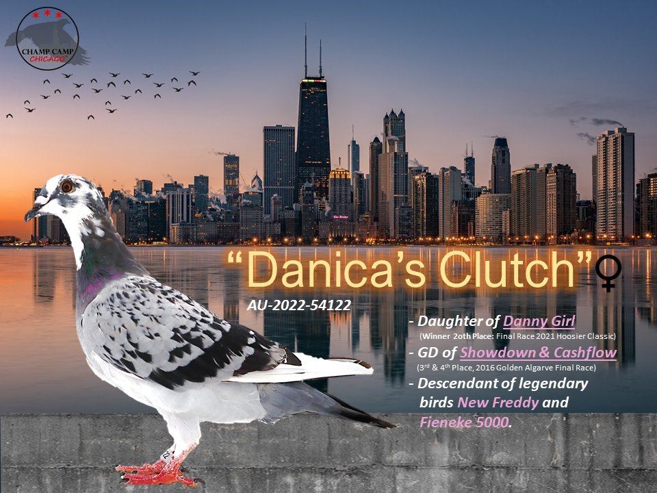 GD of 3rd & 4th at Golden Algarve, & 20th at Hoosier Classic); "DANICA