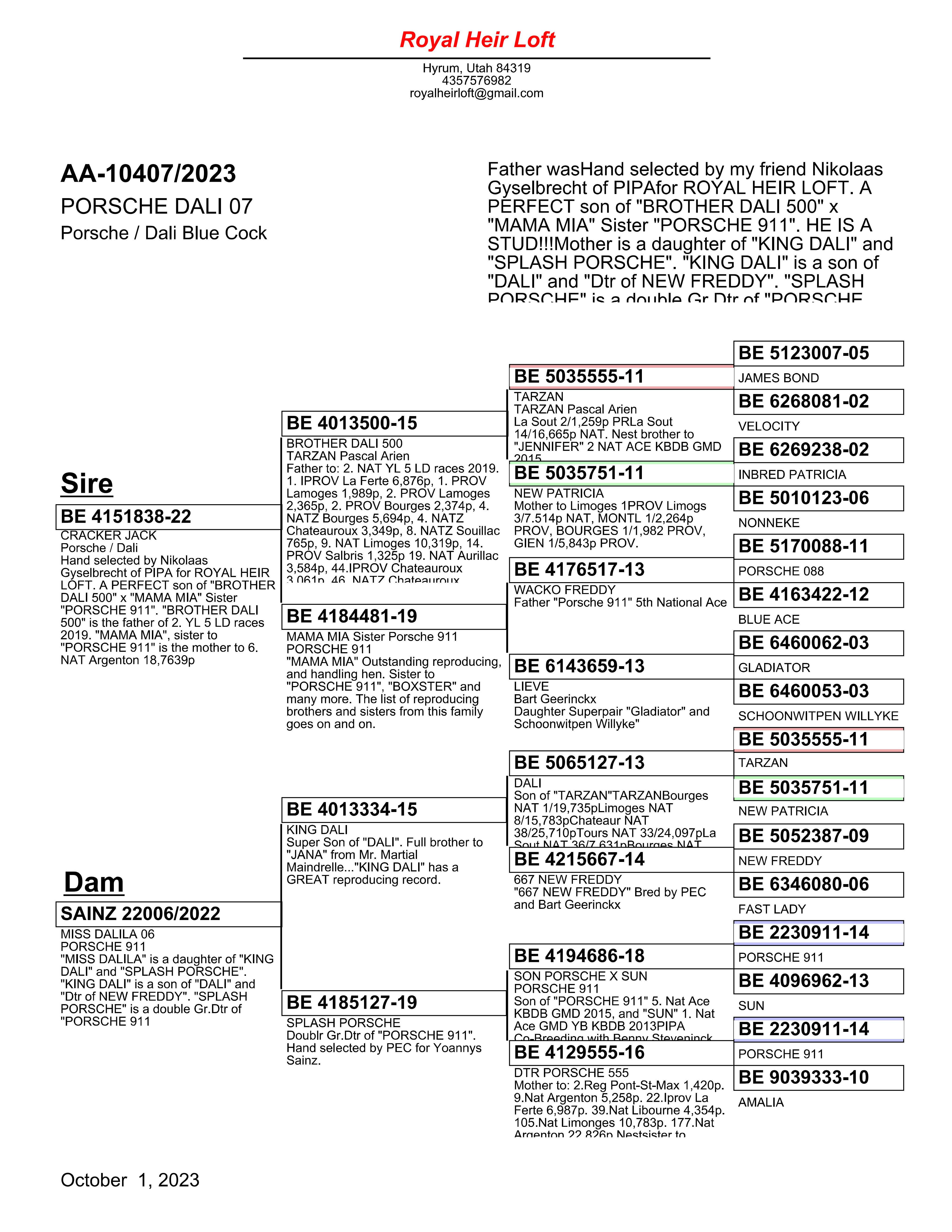 iPigeon.com - Racing Pigeon Auction