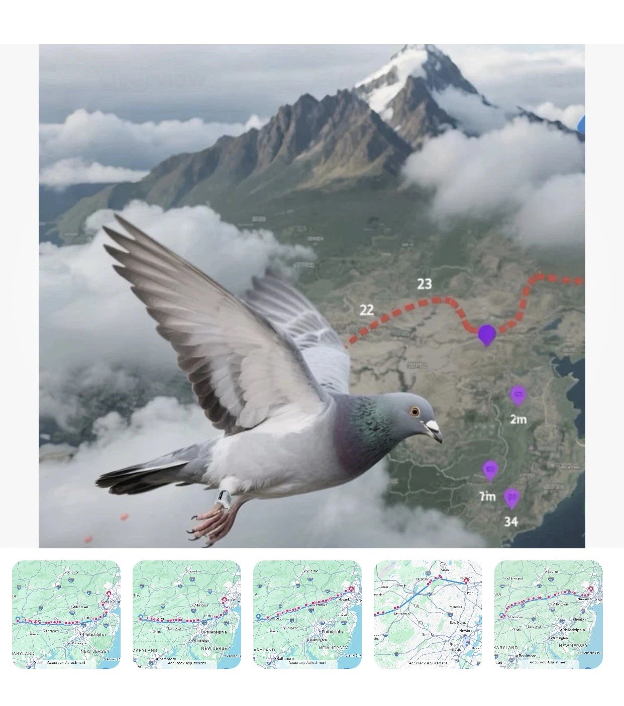 2 (two) NEW PIGEON TRACKING DEVICES 
