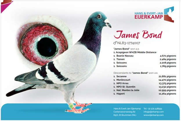 2025 Young Bird Off IMPORTS