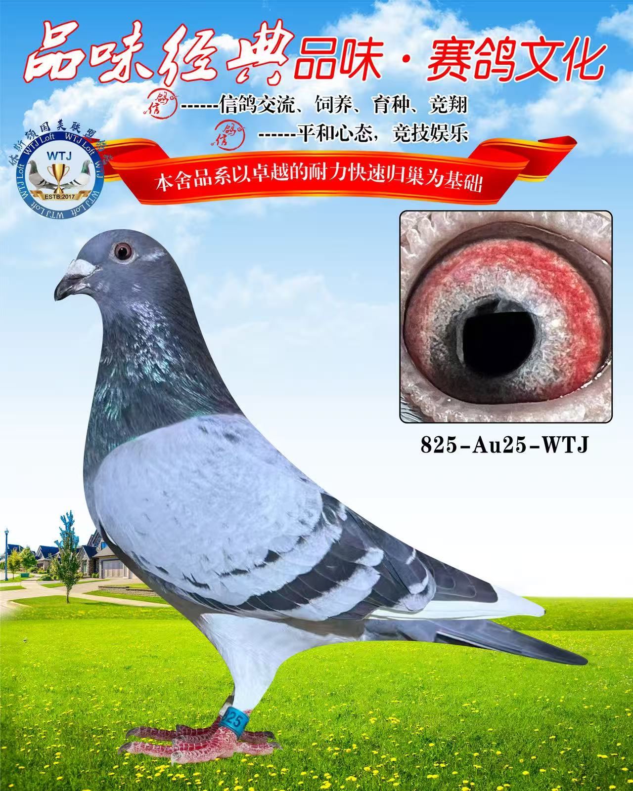 AU 24 -WTJ 825 