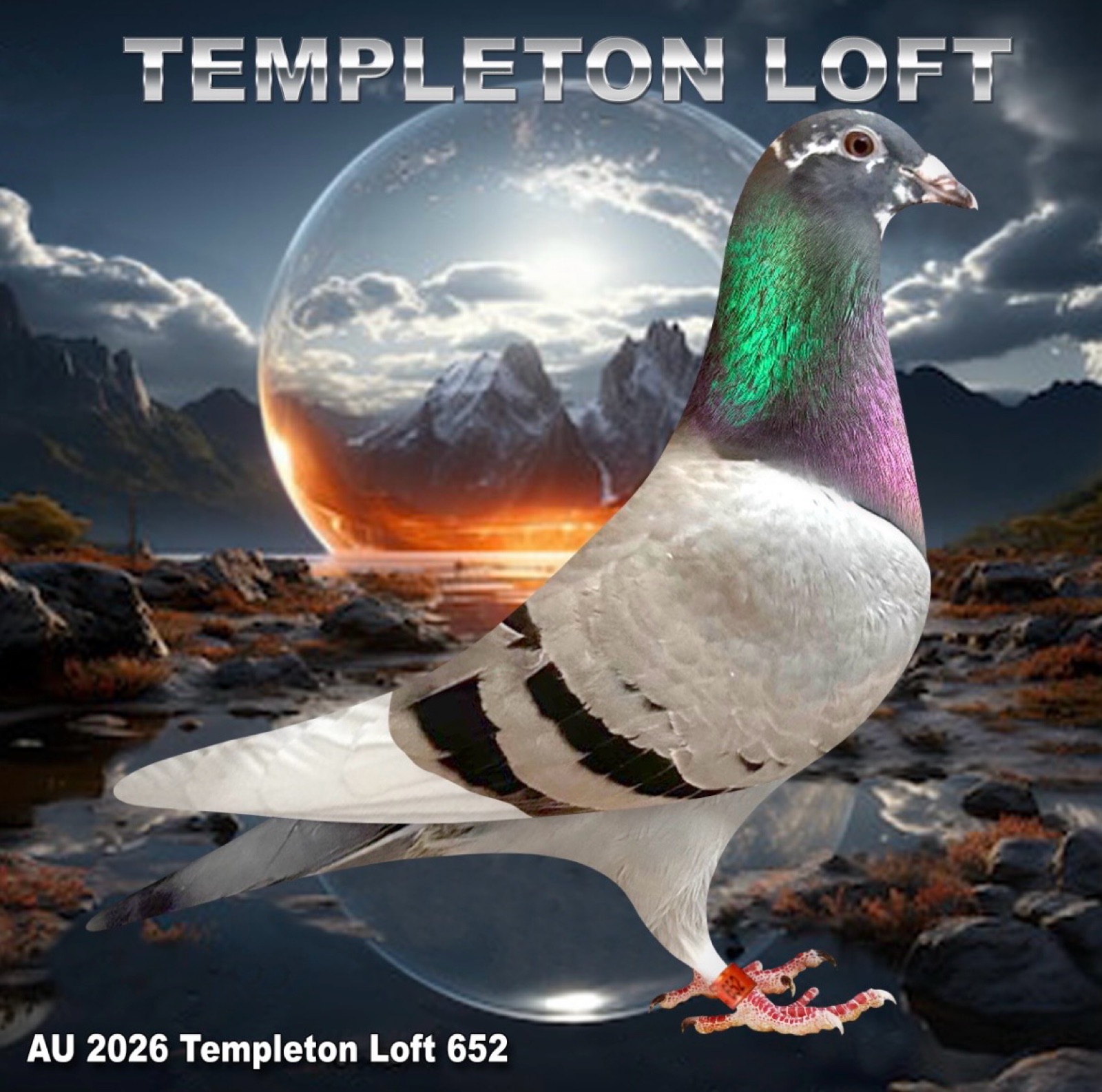Templeton loft 2026/652 FULL DNA