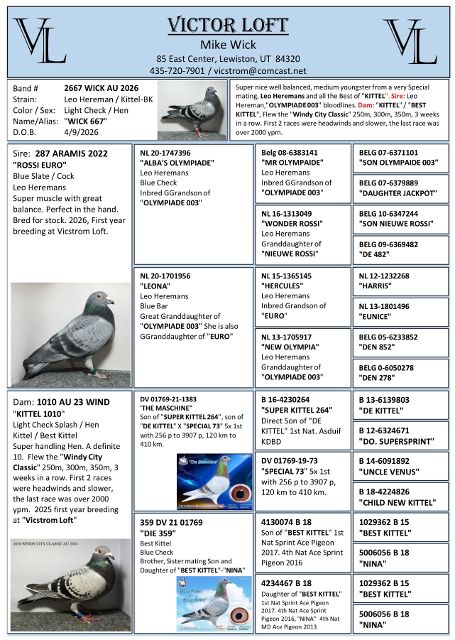 Preview Image 3