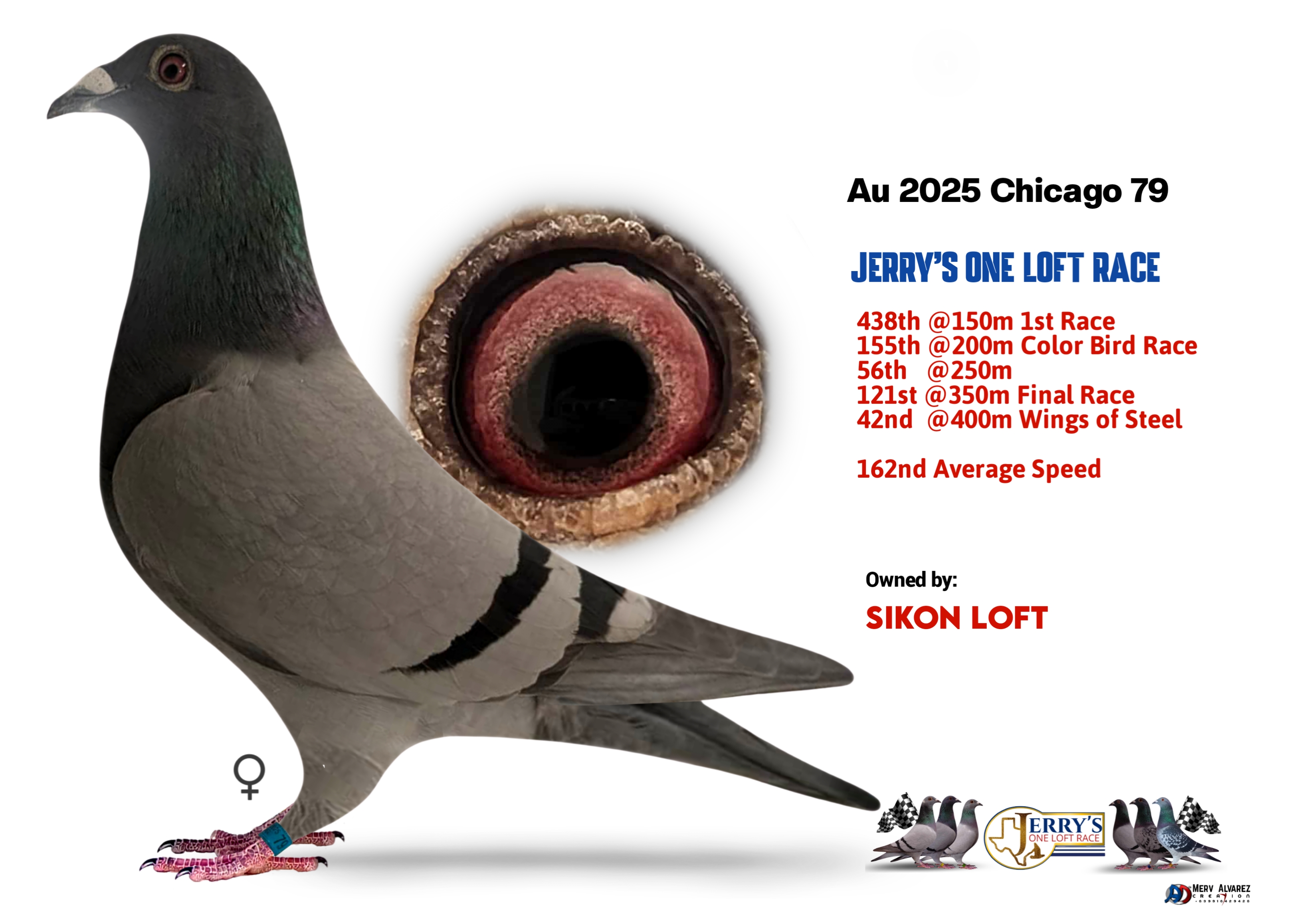 Mike ganus - Baldwin tilson 