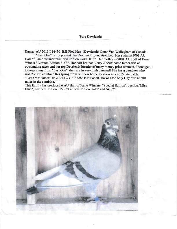 Preview Image 10