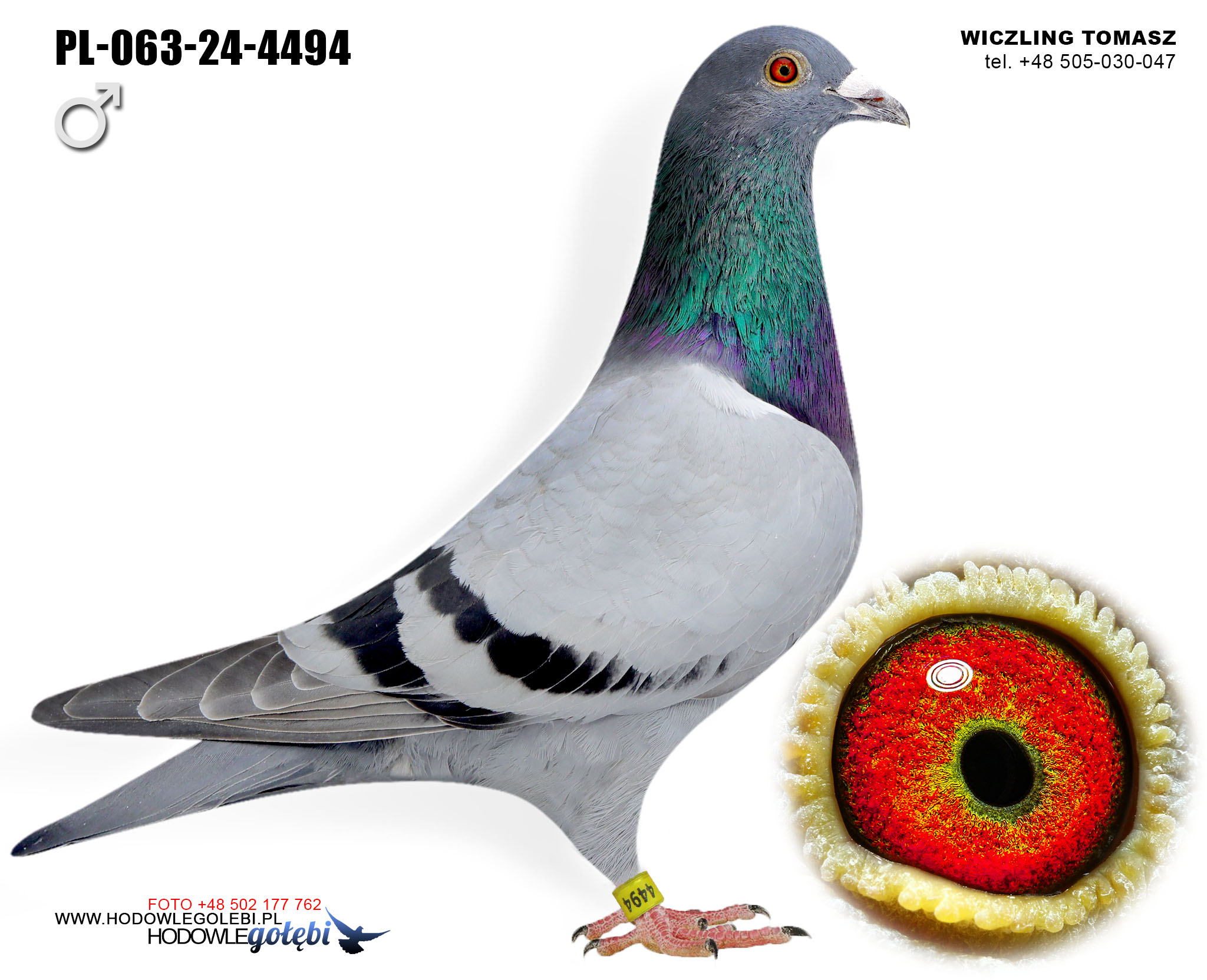 PL-063-24-4494 C