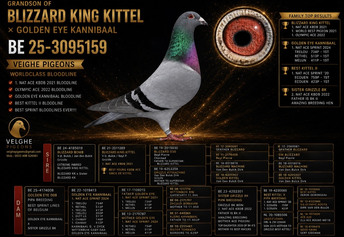 BE 25-3095159 cock
