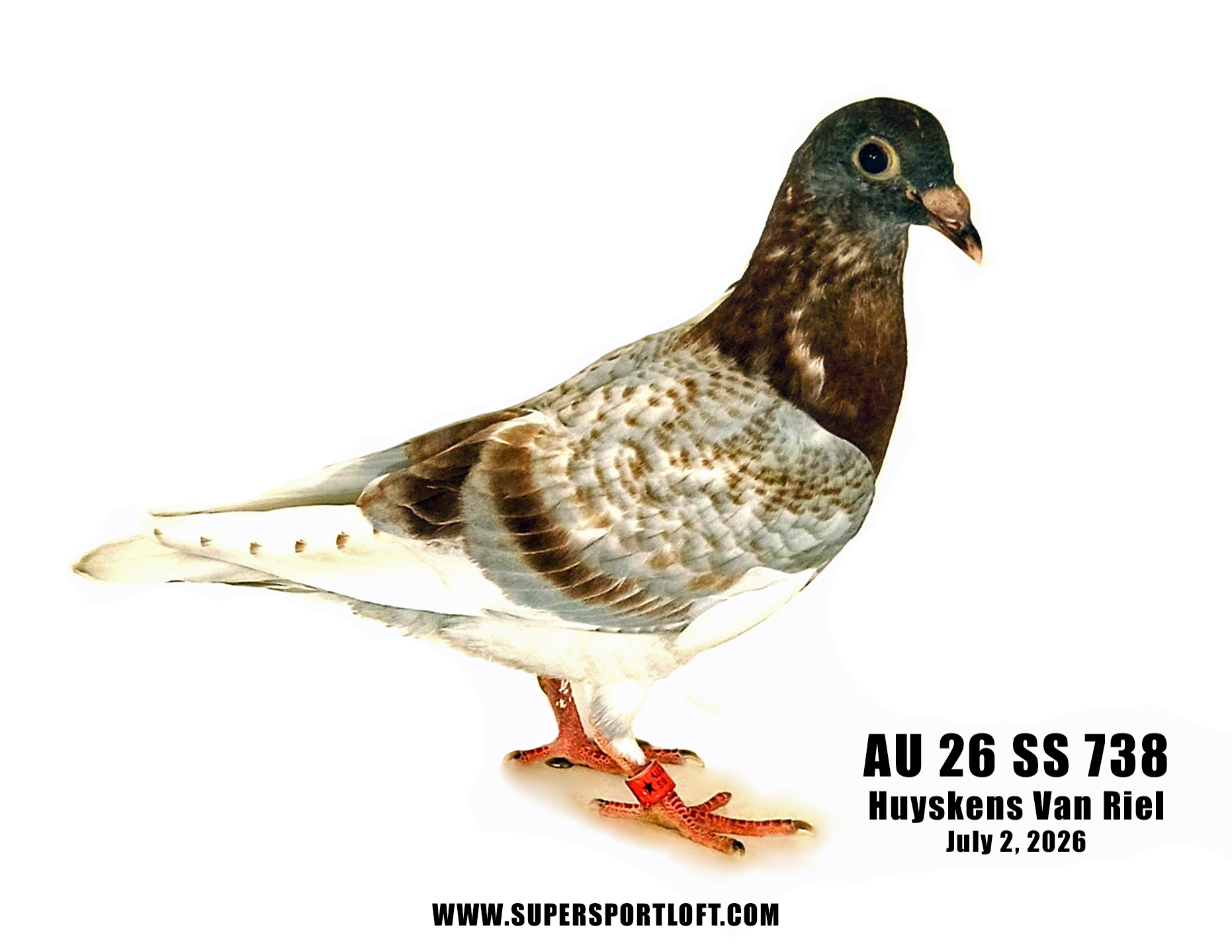 AU 26 SS 738 Jones Boys HVR