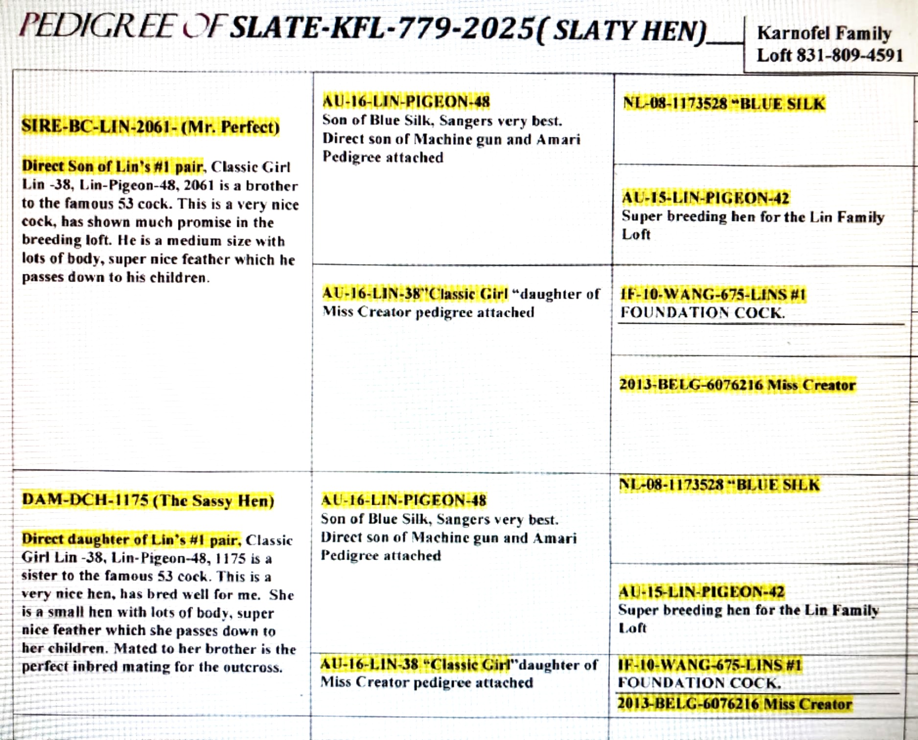 SLATE HEN KFL-779-2025