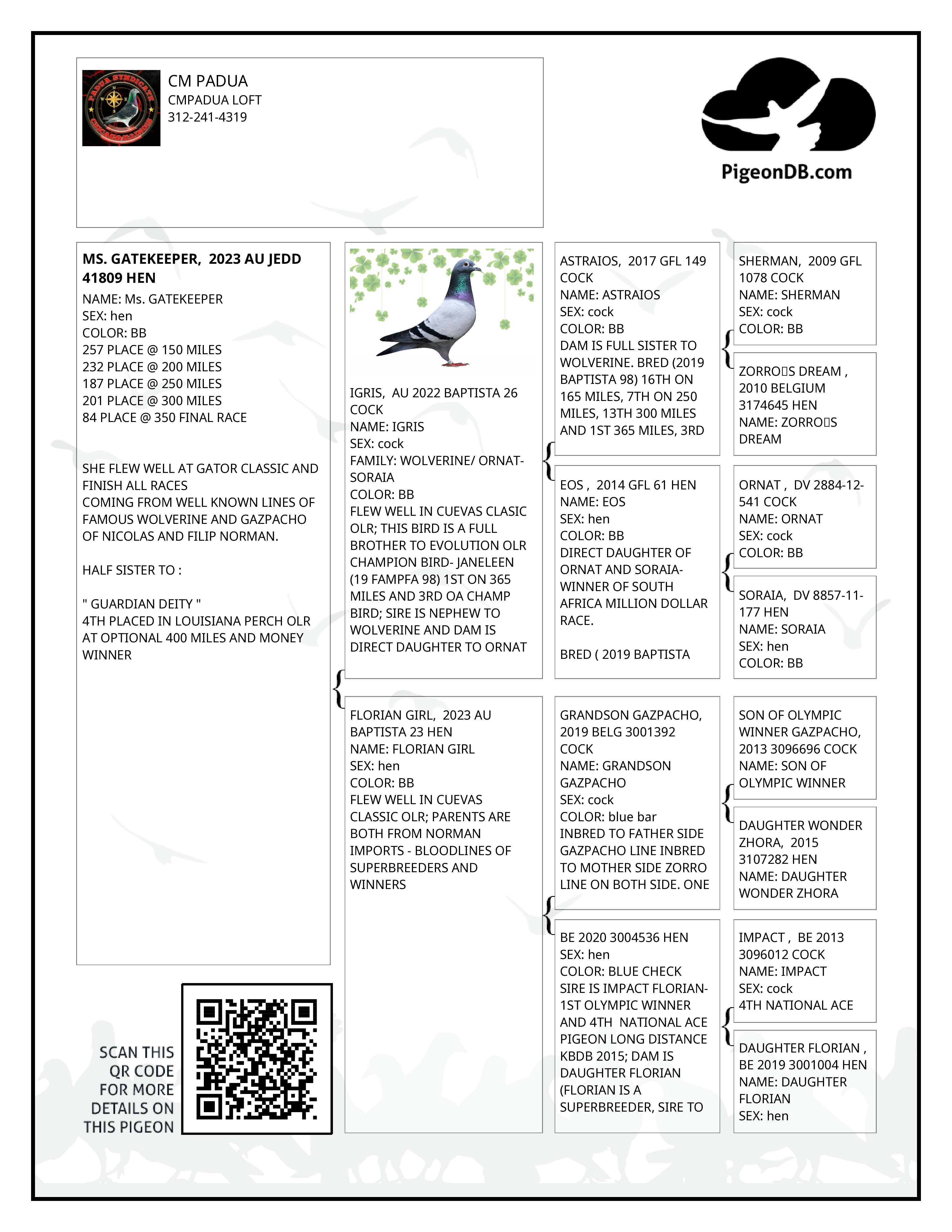 Preview Image 2