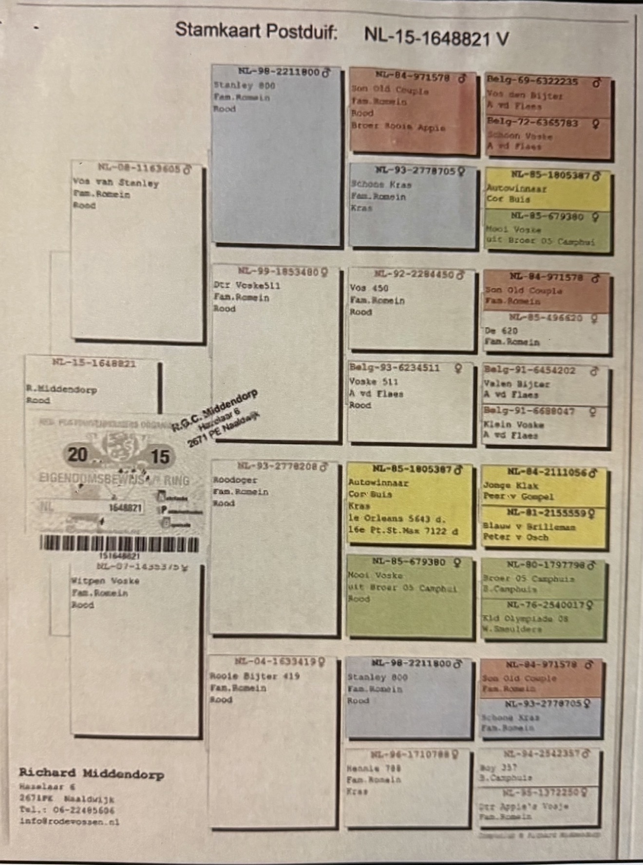 Preview Image 3