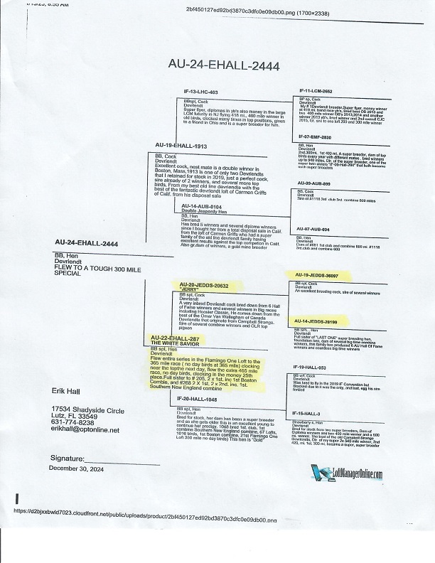 Preview Image 7