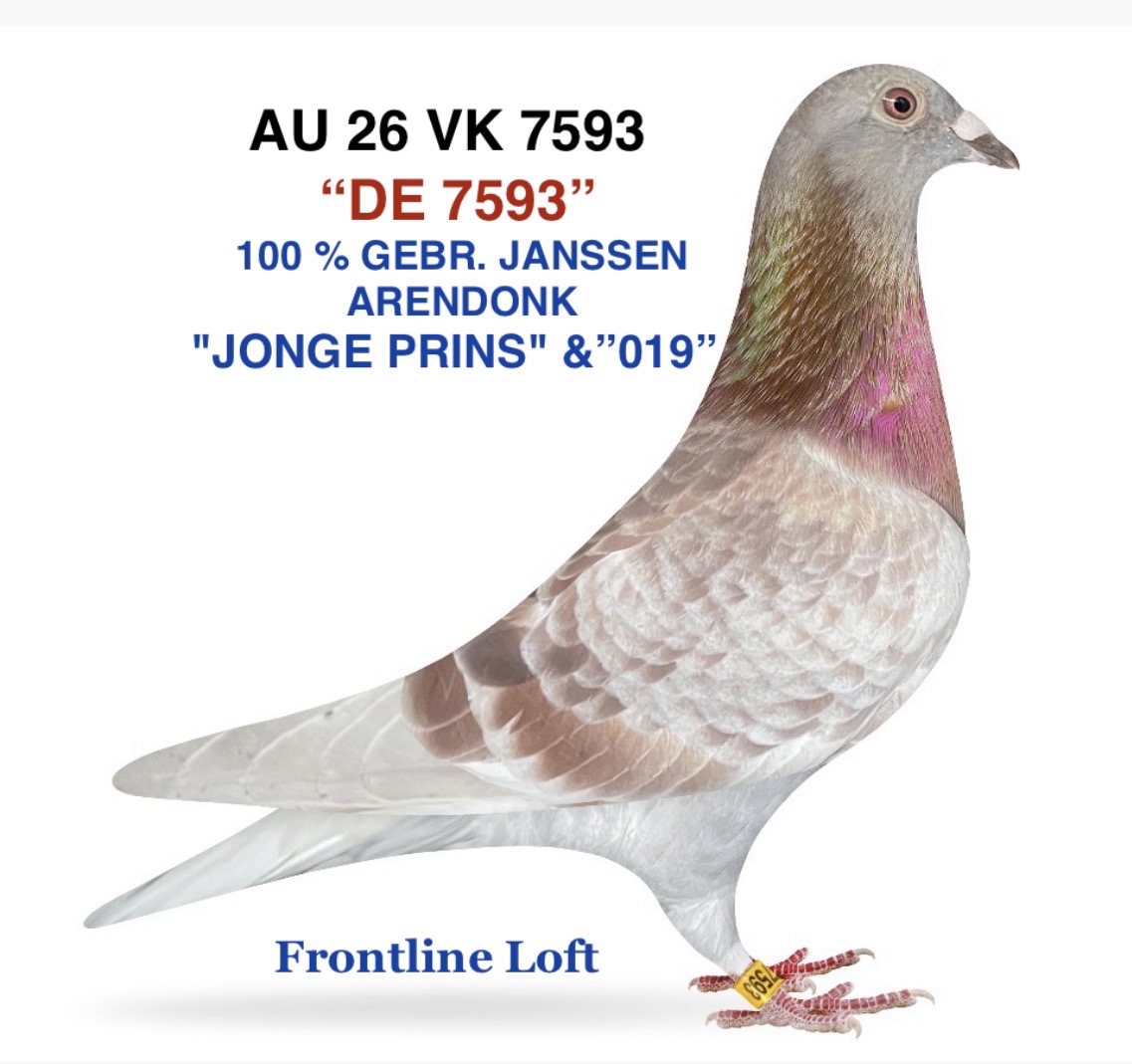 100 % GEBR. JANSSEN ARENDONK
