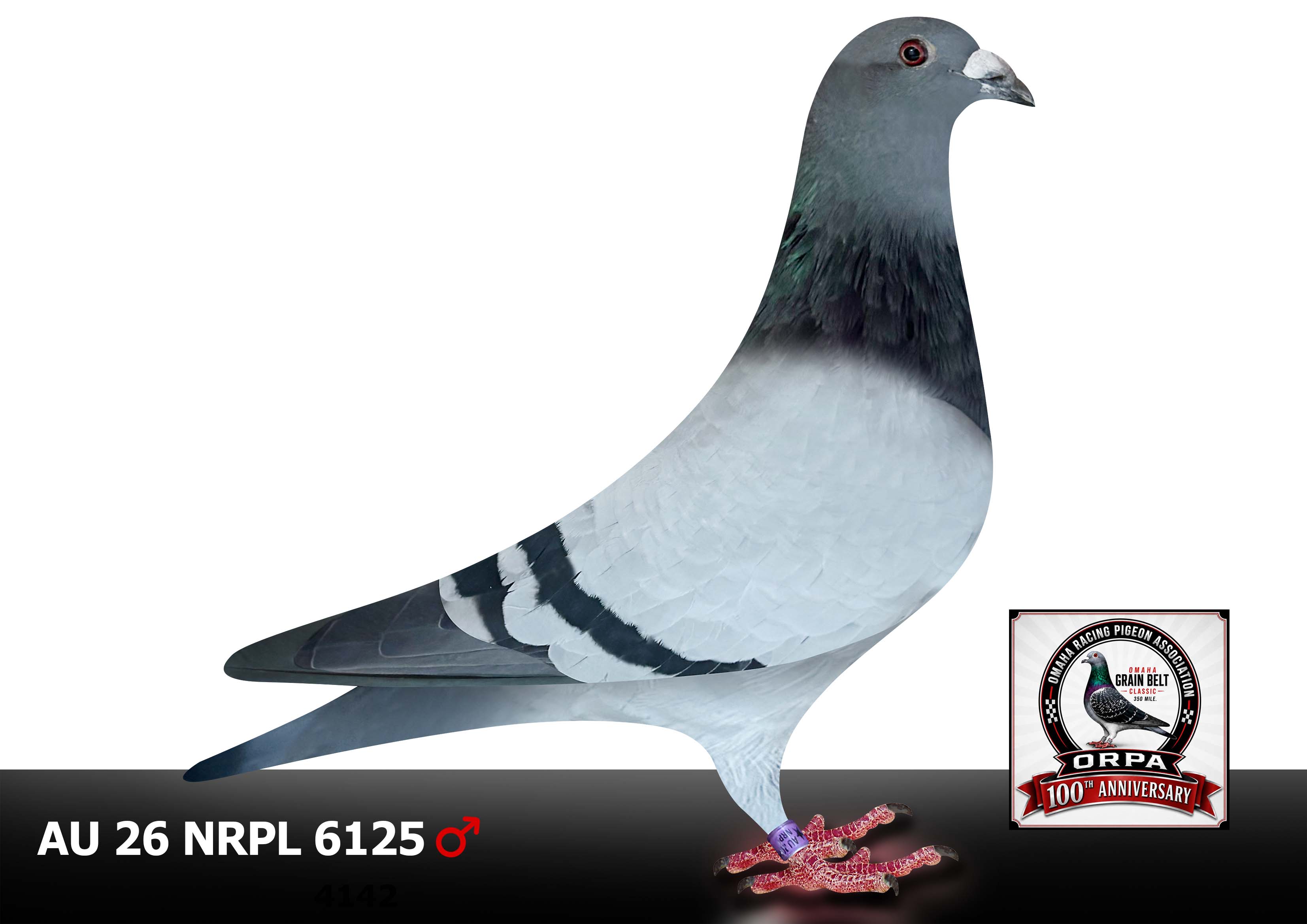 AU 22 NRPL 2154 Hen  26 NRPL 6125